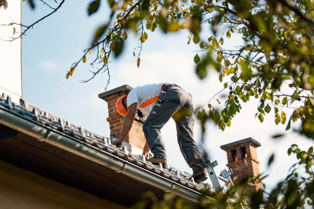 Best Roof Maintenance and Cleaning  in Mercer Island, WA